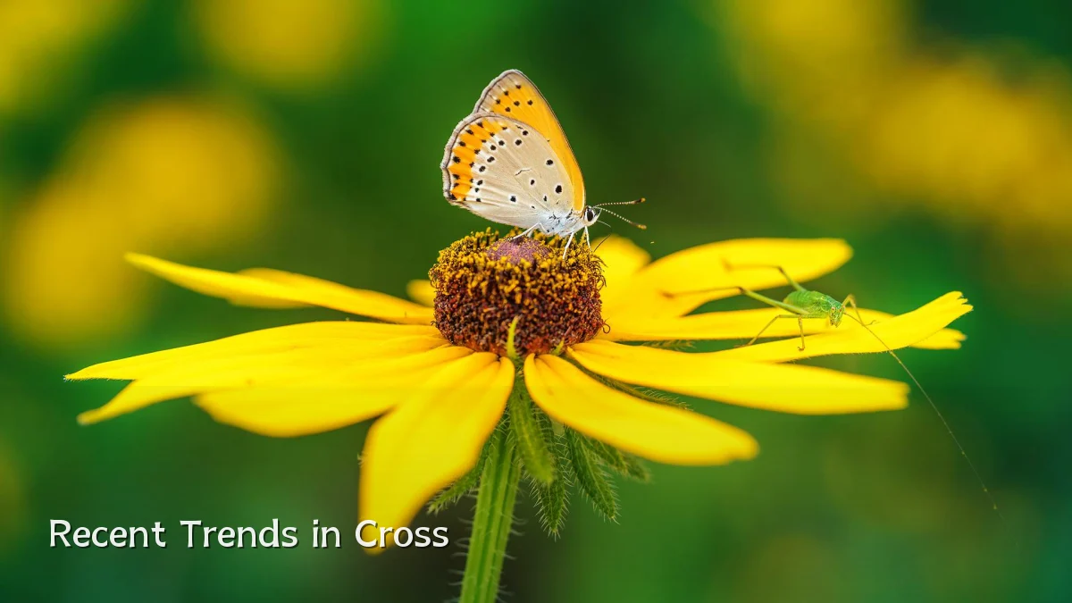 Recent Trends in Cross