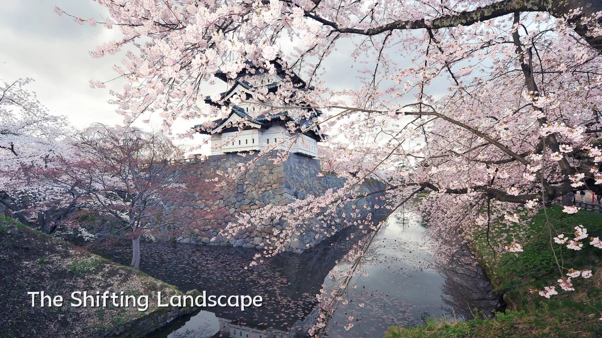 The Shifting Landscape