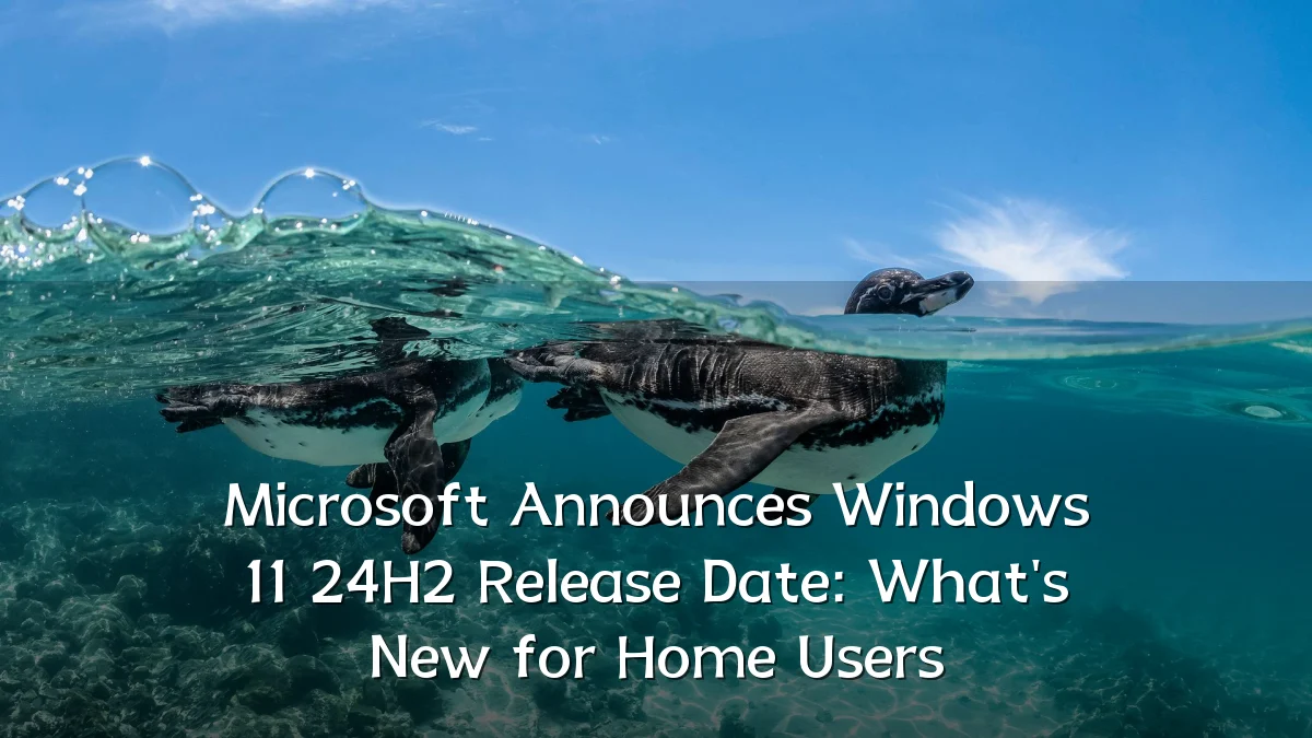 Microsoft Announces Windows 11 24H2 Release Date: What's New for Home Users