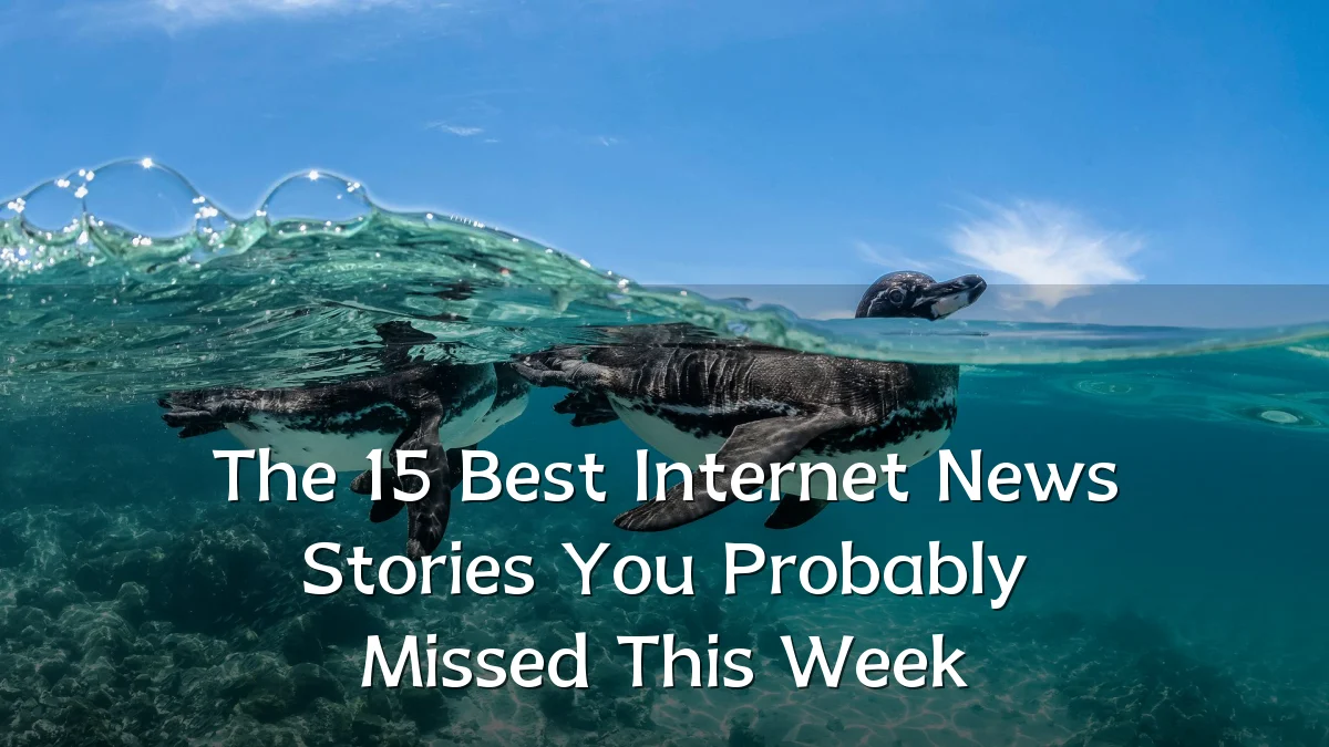 The 15 Best Internet News Stories You Probably Missed This Week