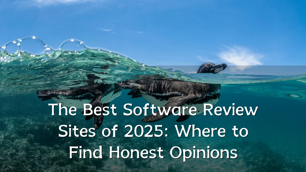 The Best Software Review Sites of 2025: Where to Find Honest Opinions