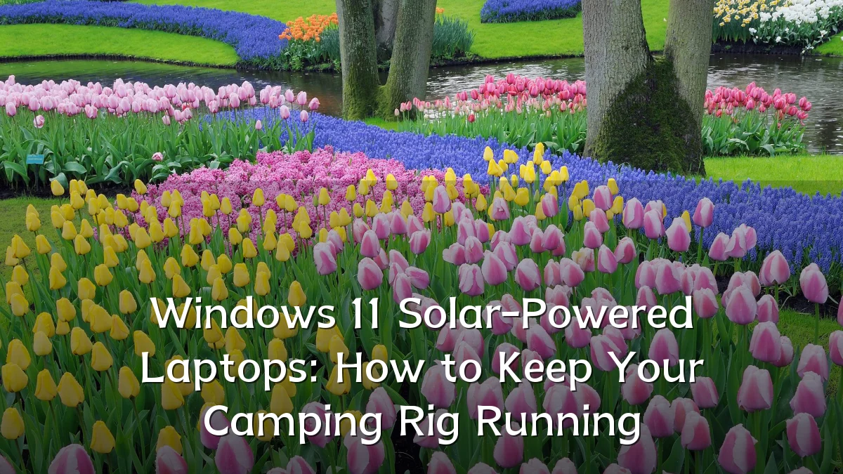 Windows 11 Solar-Powered Laptops: How to Keep Your Camping Rig Running